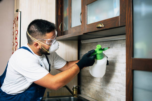 Pest Control for Restaurants in Youngsville, LA