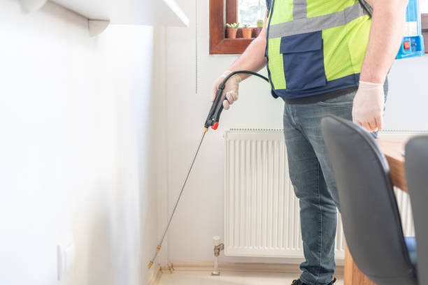 Best Local Pest Control Services  in Youngsville, LA