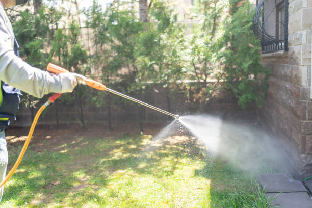 Best Wasp Removal Services  in Youngsville, LA