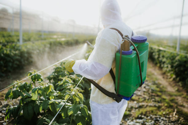 Best Pest Control Near Me in Youngsville, LA